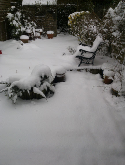 And this morning it just looked calm and peaceful...