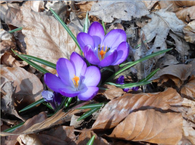 A smile from this weekend :o)