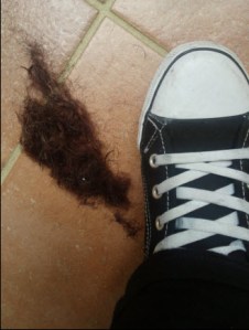 (ok, it's not that much, but in the Pog scheme of things, it is!)