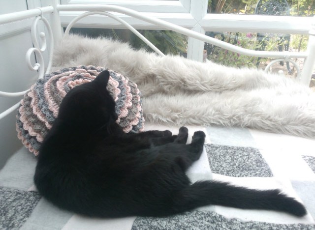 And back to normal today...