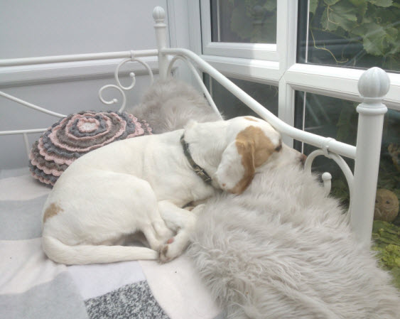 'No wonder Norman loves this spot.  It's just about perfect.'