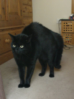 Be scared Lola,  I get bigger!