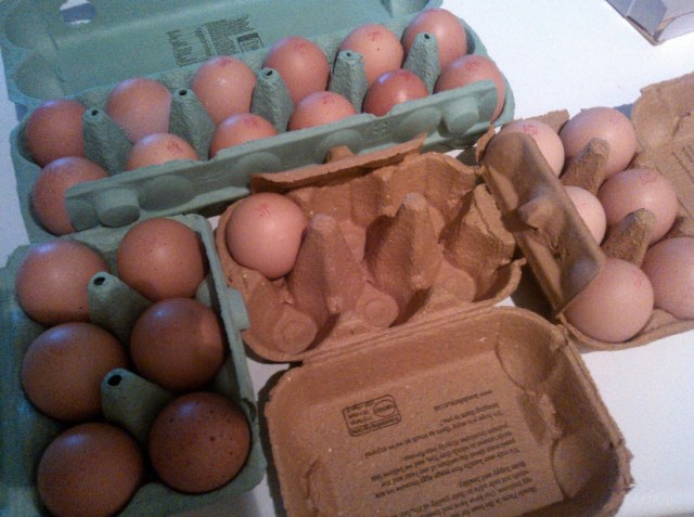 Just to prove that no exaggerations were made in the writing of this blog...