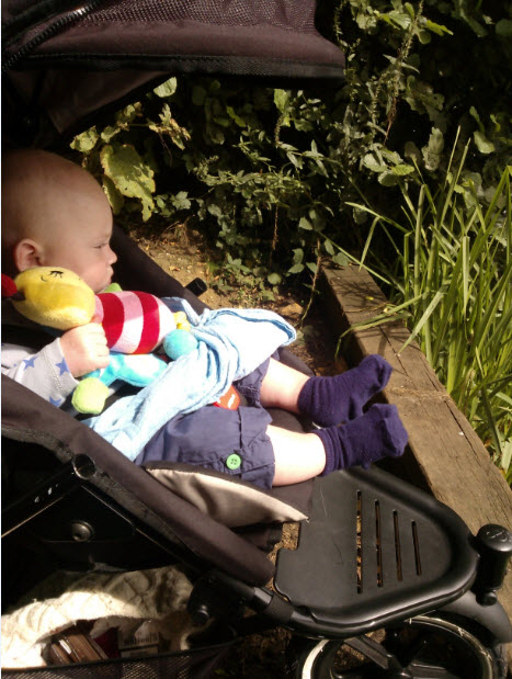 'Mr Bumble, just look at those ducks!'