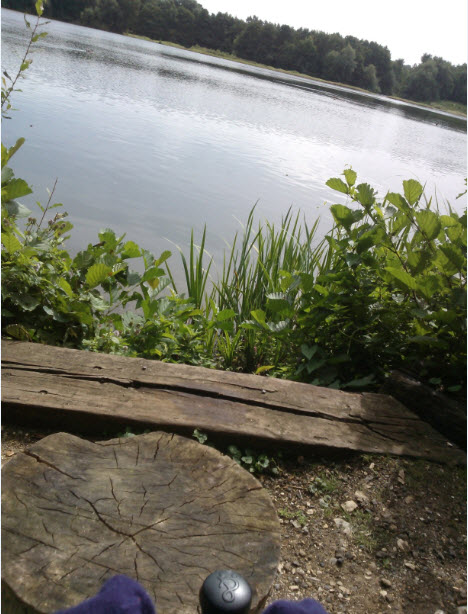 A Little Peas' eye view