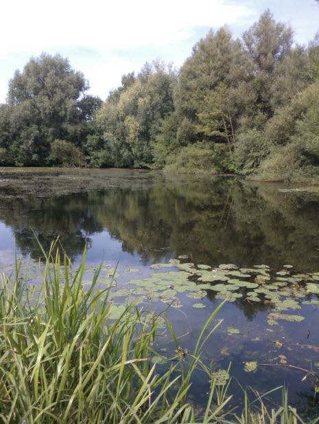 I just rather liked this view