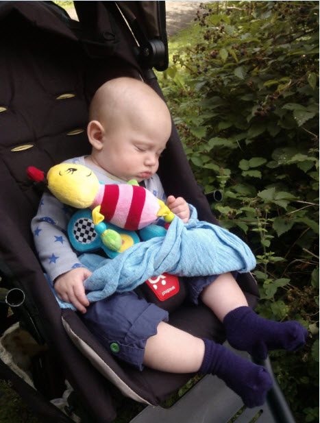 All the excitement got a bit much for Little Pea.  Mr Bumble was still raring to go though :o)