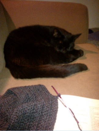 1st January 2014: Relaxing - Norman cat and crochet