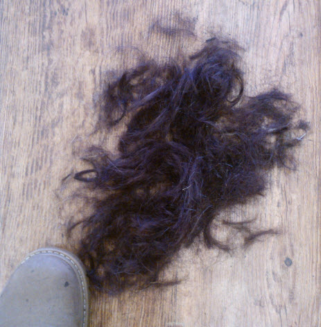 18th January 2014.  Two thirds of my hair cut off so I could have a proper style!  5 days later, the grand total of 3 people have noticed :o(