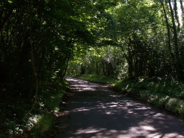 A typical Bumpkinsville road.  When it's not dark...or flooded.
