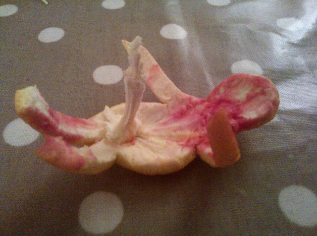 31st January 2014: Dinner with Gorgeous Godson's mummy and daddy to finish the week. And GG's daddy made me a 'Willy Man' from orange peel. I think it's safe to say this made my week complete...