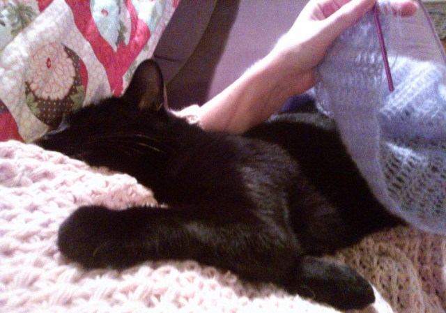 1st February 2014: Cuddles and crochet