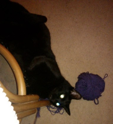 14th February 2014:  What you don't want to look down and see when you are trying to crochet...