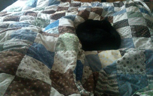 17th February 2014:  I have a king size bed.  I sleep on the right.  Norman has now decided he does too.