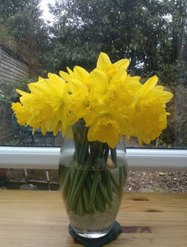 18th February 2014: How to make things seem a bit brighter :o)