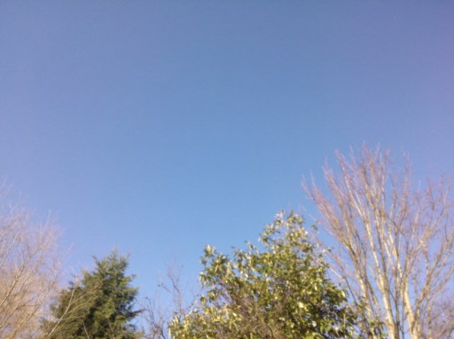 20th February 2014:  There's not a cloud in the sky!