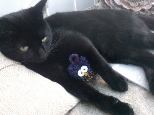 21st February 2014:  Norman getting involved in my crochet, again.  'I'm just giving it a cuddle, honest'.  