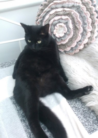 25th February 2014: Just chillin'