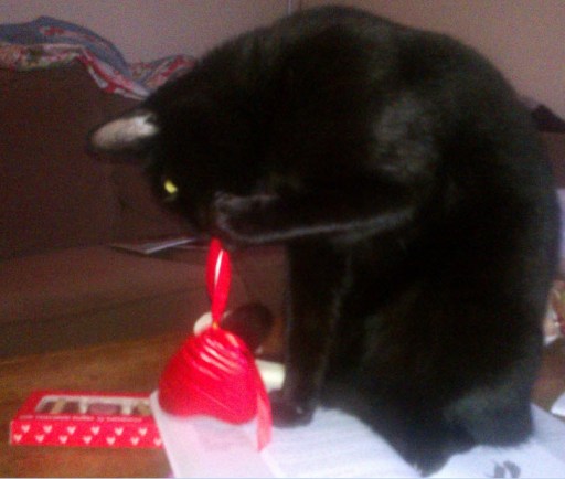 'I'm just going to do a quick quality check here...'