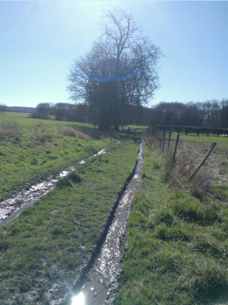 Just as Sister 2 commented on how dry the ground seemed after the months of rain we've had, it got a bit soggy....