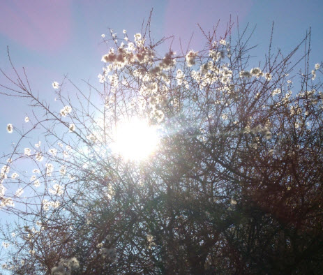 ...and so are some furry things we didn't know the name of.