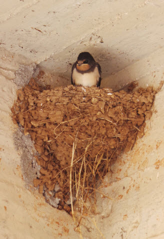 Almost ready to fly...