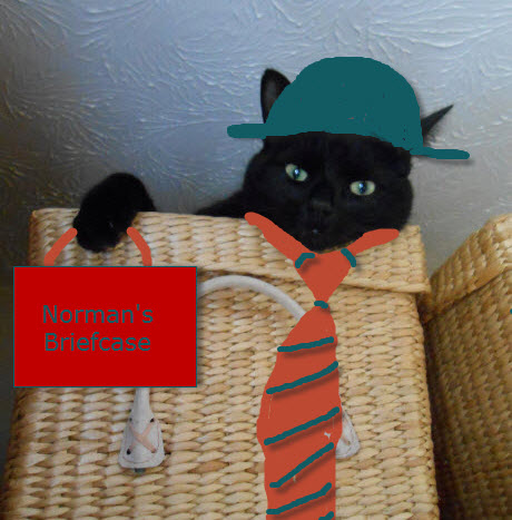 Oh, maybe he does want to come up with me after all...