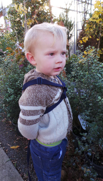 'Nope, I'm not going anywhere'