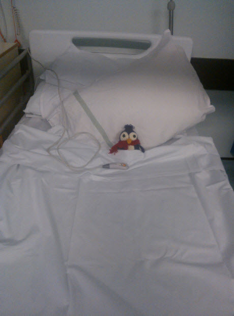 This is not Mummy.  This is Penny Gwen, who stole her bed for a short while.