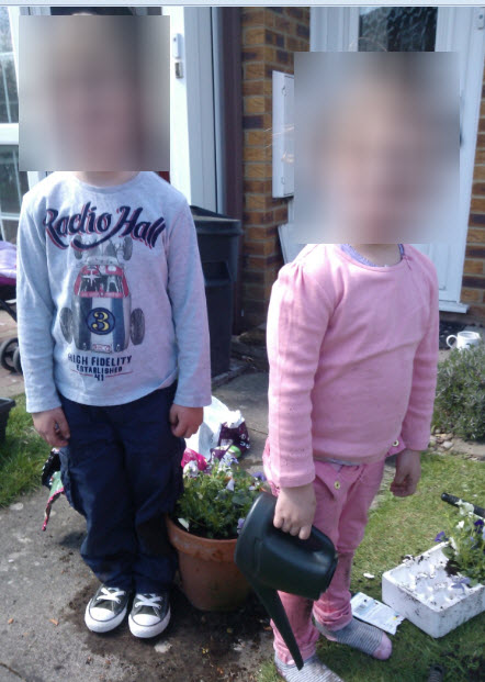 Pansies and watering can