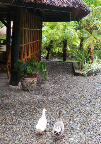 Theses two were my friends on holiday.  They probably have water super powers, unlike me.