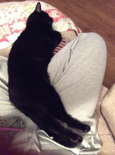 Tonight, I am a loooong cat