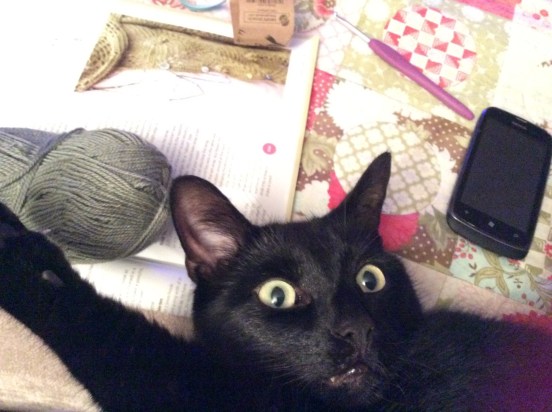 Seriously woman! Get away from the wool and go to bed. I have some partying to be getting on with!