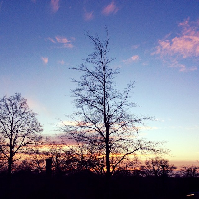 2) Living in Bumpkinsville