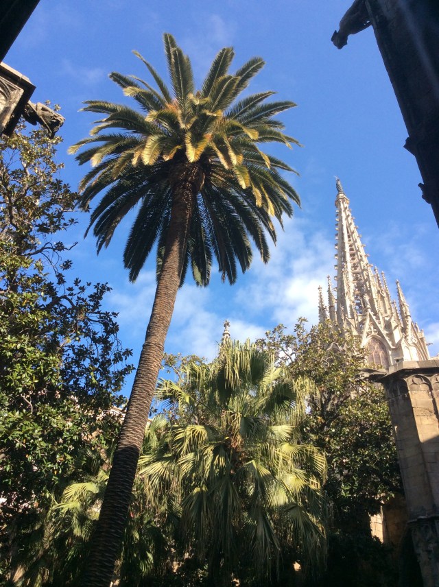 Here. Right in the middle!