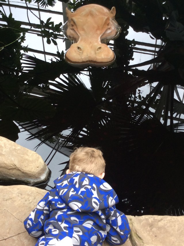 It wasn't all about the butterflies....