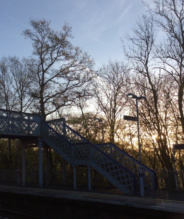 In the absence of a story, he's a picture of my train station in the morning, looking rater pretty, I think.