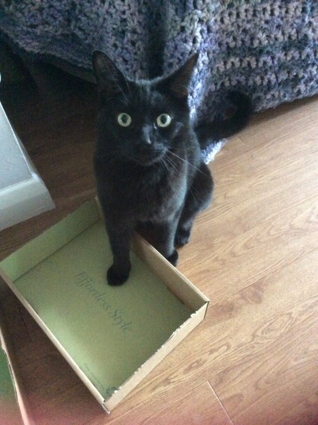 Norman demonstrates his effortless style.