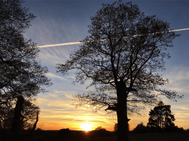 Taken on Wednesday night's run. 