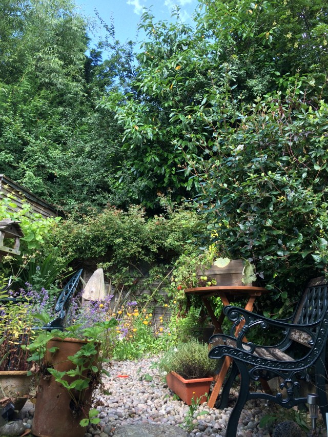 And home for a cuppa on the back door step...