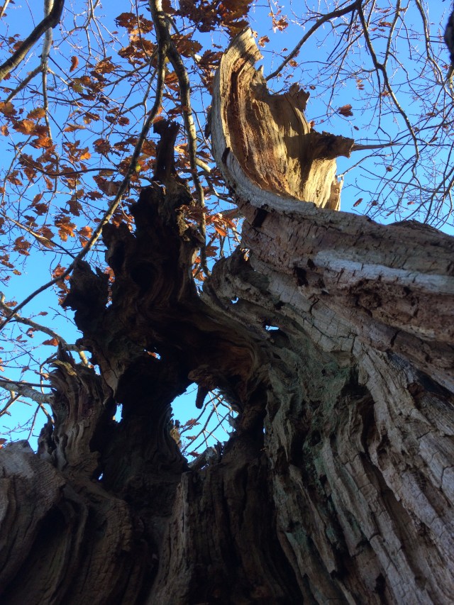 ...for this rather lovely view.