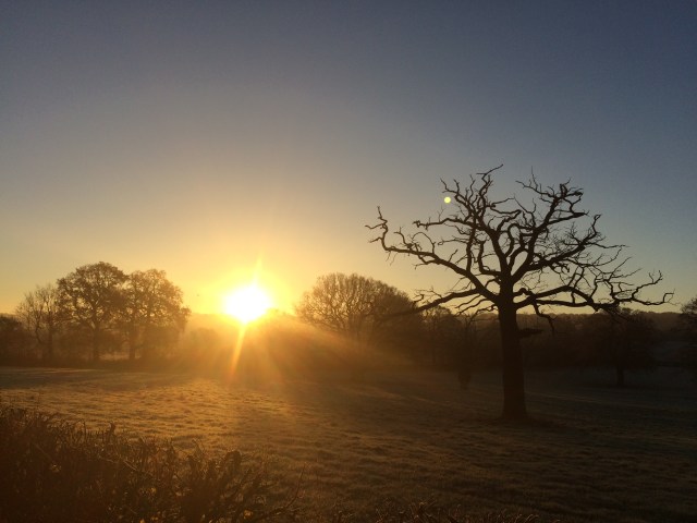 It was a frosty run this morning :o)