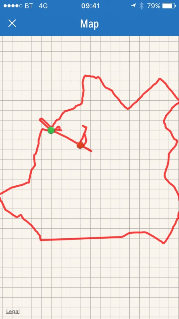 Is it a pig? Is it Winnie the pooh's head? It's the shape we ran, anyway :o)
