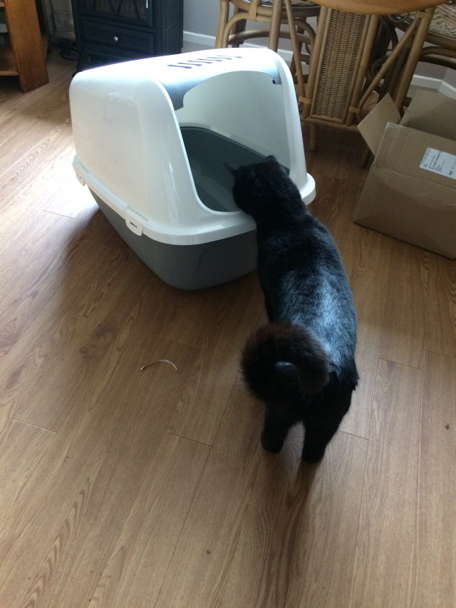 As close as we've managed so far...